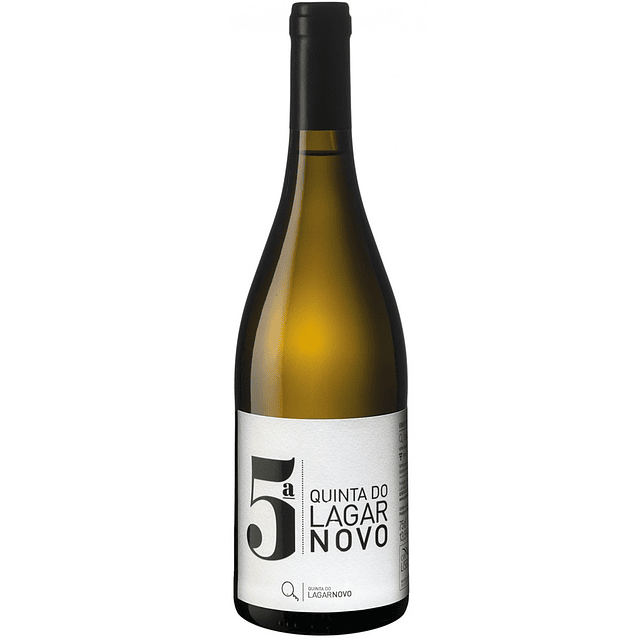 5ª do Lagar Novo Branco 2024