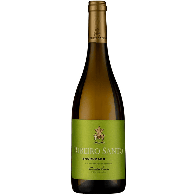Ribeiro Santo Encruzado Branco 2025