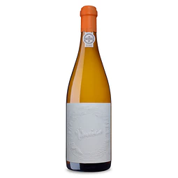 Conceito Único Branco 2018