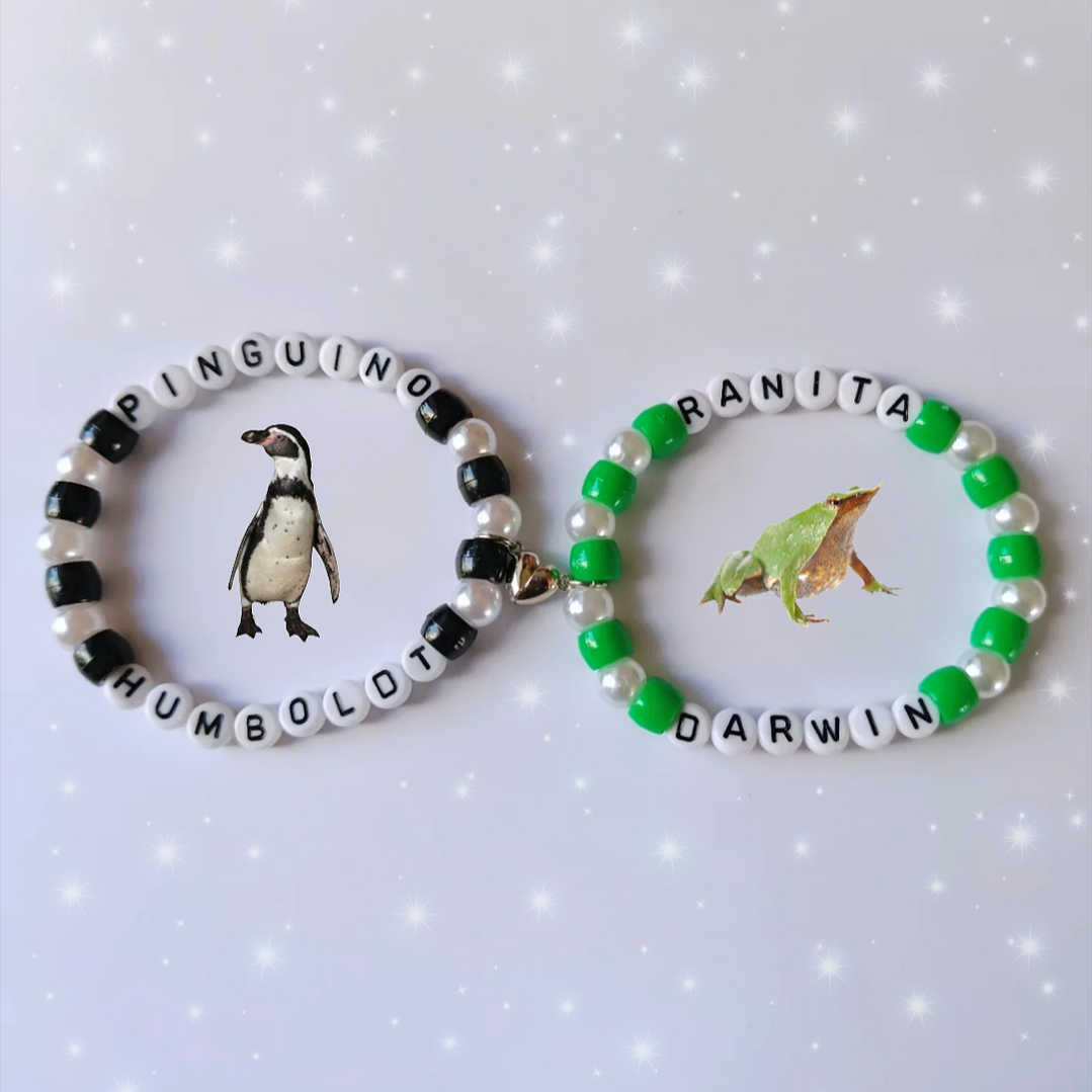 Pulseras Pingüino de Humboldt y Ranita de Darwin 1