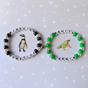 Pulseras Pingüino de Humboldt y Ranita de Darwin