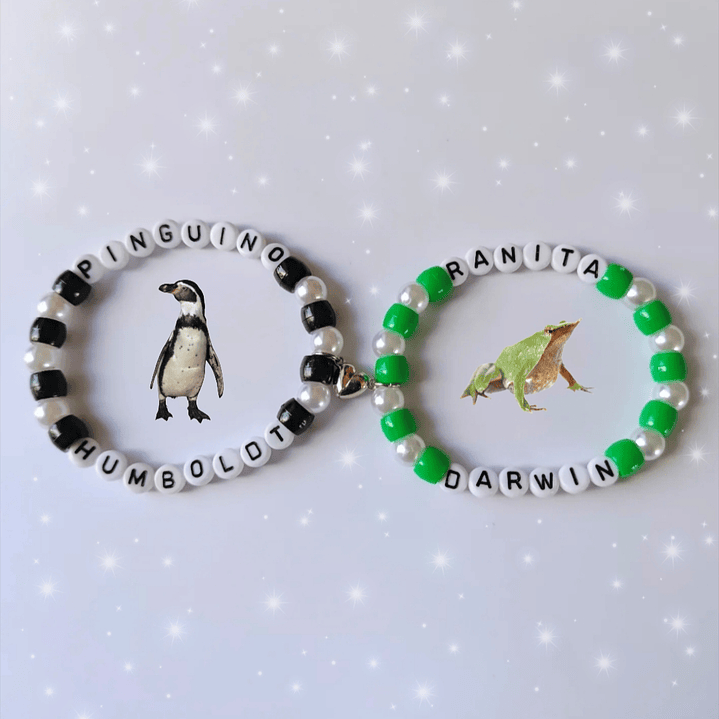 Pulseras Pingüino de Humboldt y Ranita de Darwin 1