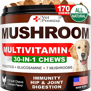 Mushroom Chews for Dogs, Immunity, Joint Health, Energy & Skin Support, 170ct