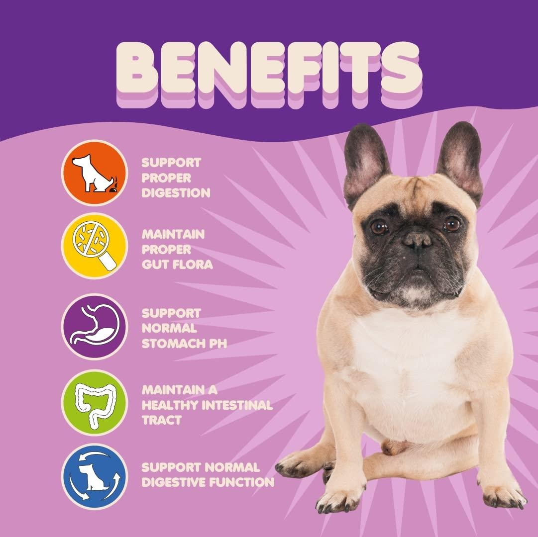 Probiotics for Dogs & Puppies – 9 Species, Digestive Enzymes, Allergy Relief 3