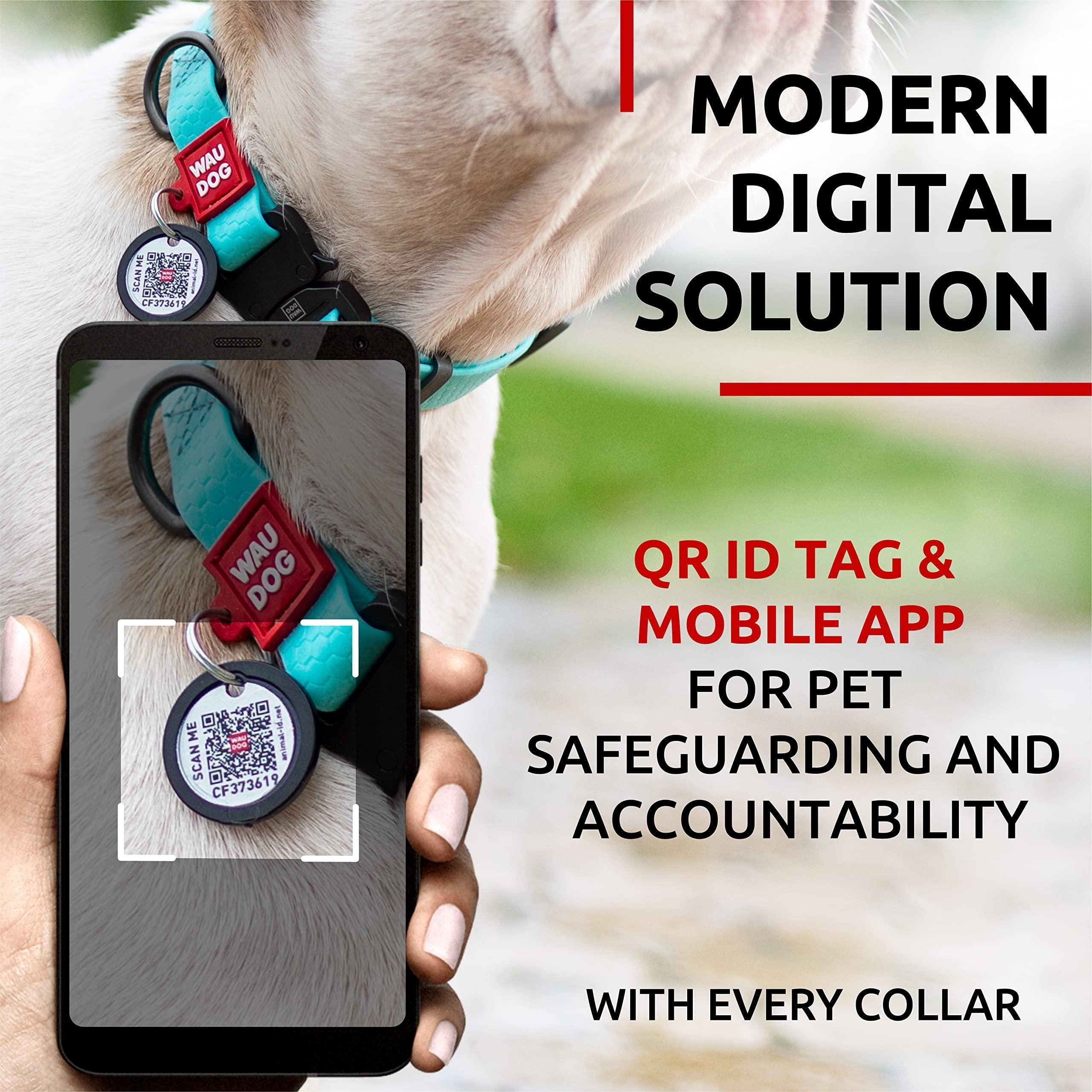 Waterproof Glow Dog Collar - Adjustable, Durable Metal Clasp, QR Tag, All Sizes 3