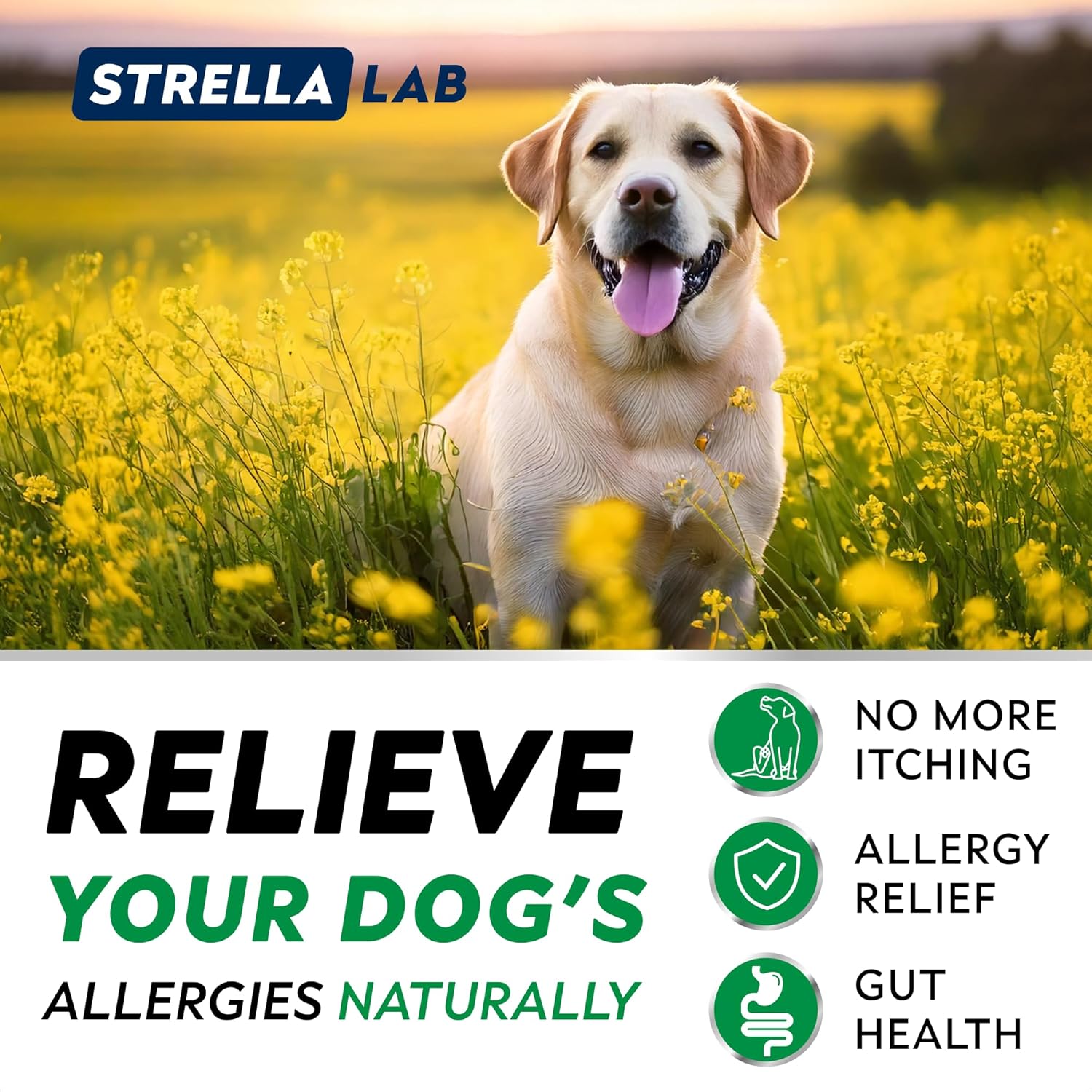 Dog Allergy Relief & Anti-Itch Chews w/Omega 3, Fish Oil, 120ct - Made in USA 6