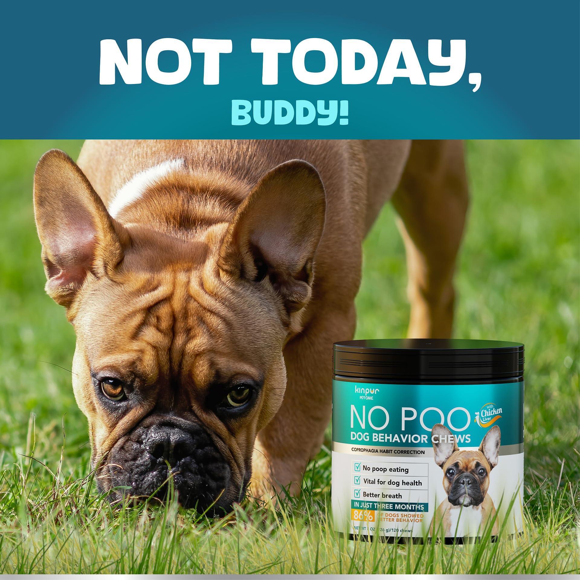 No Poo Chews for Dogs Stop Poop Eating with Probiotics & Digestive Support 6
