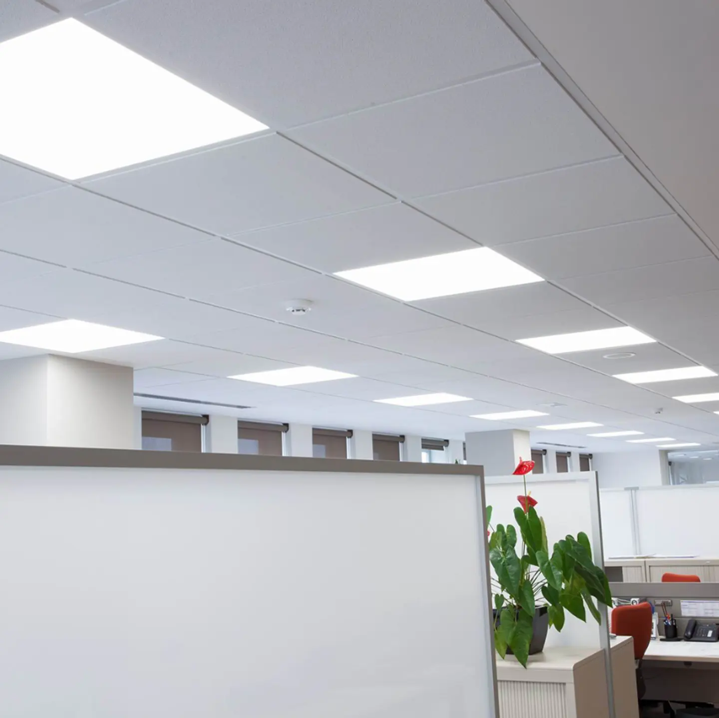 LAMPARA LED EMBUTIDA 60X60 BLANCO FRÍO 5