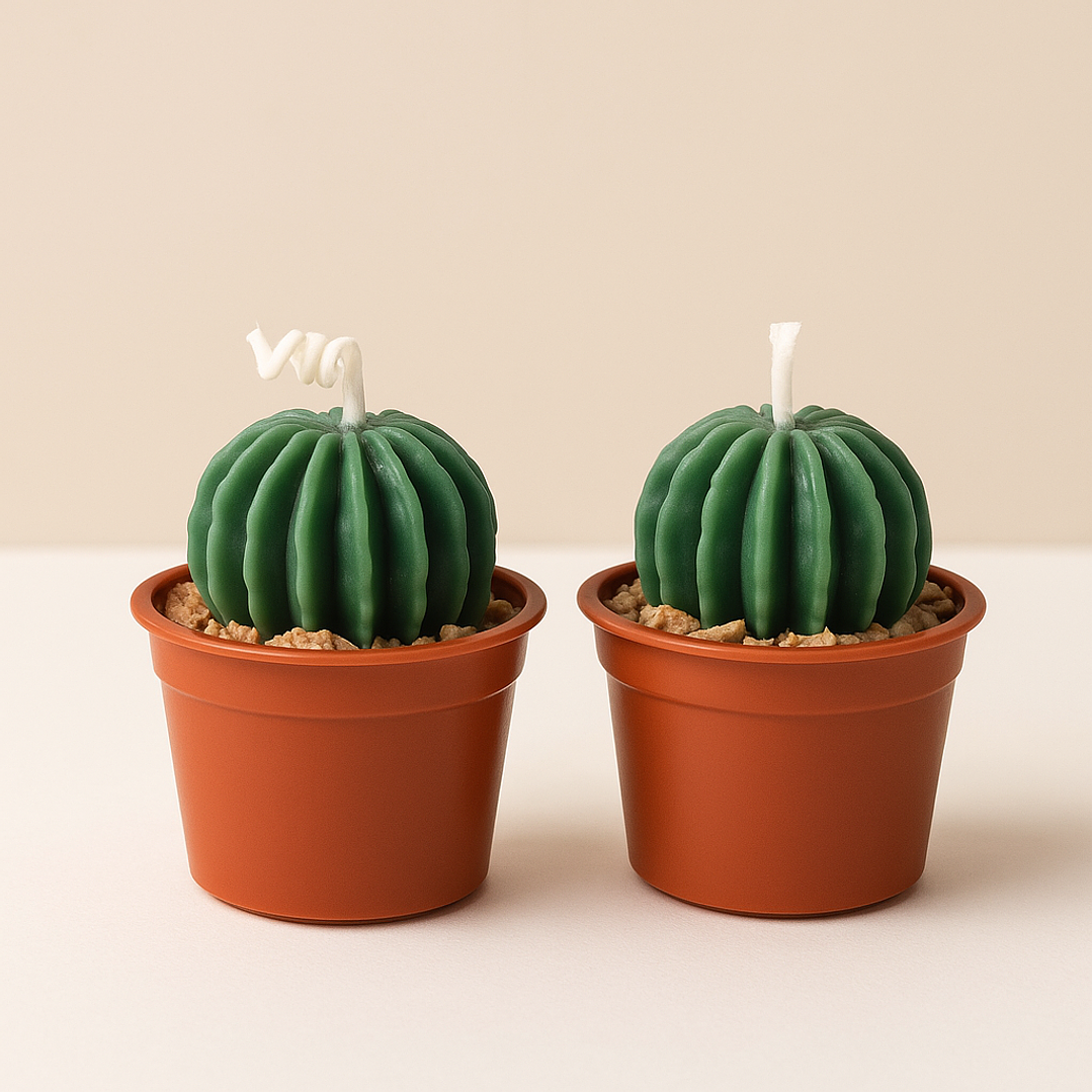 Velas forma de suculenta 1