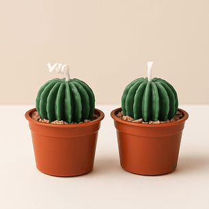 Velas forma de suculenta