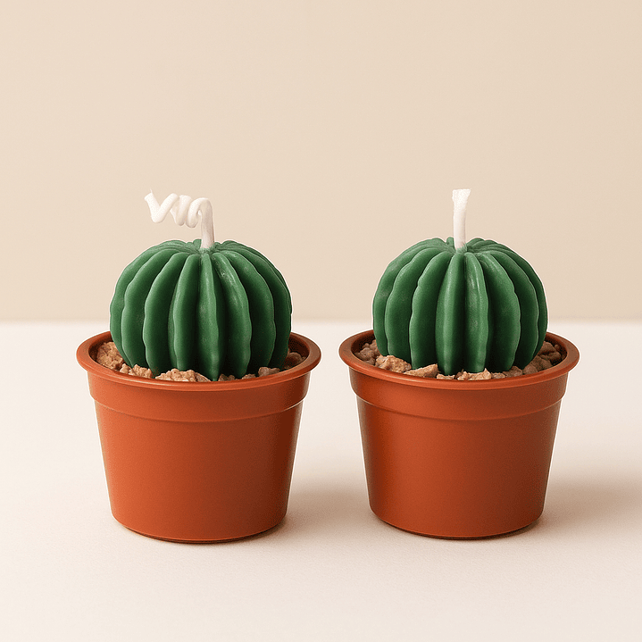 Velas forma de suculenta 1