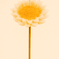 Velas girasol - Miniatura 2