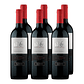 x6 Vino 1865 Selected Vineyards Cabernet Sauvignon 750cc - Miniatura 1