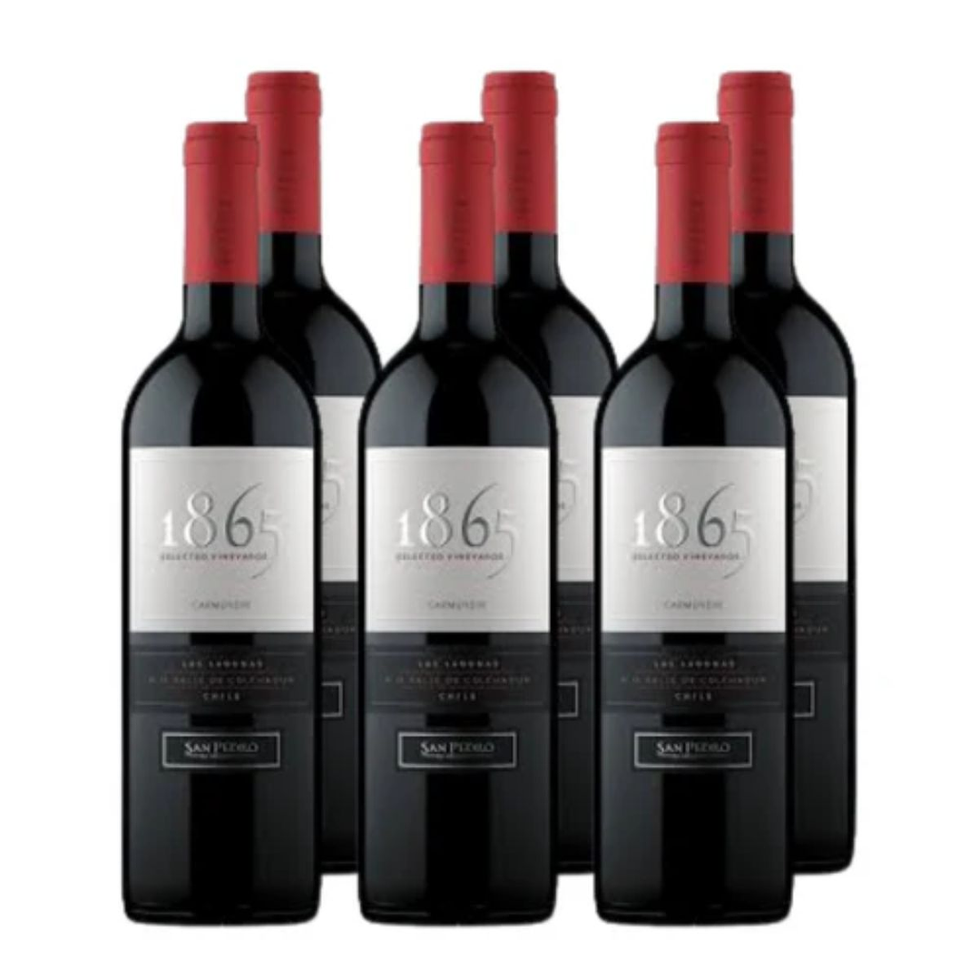 x6 Vino 1865 Selected Vineyards Carmenere 750cc 1
