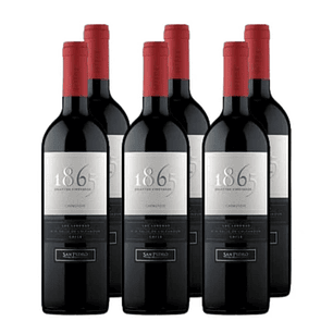 x6 Vino 1865 Selected Vineyards Carmenere 750cc