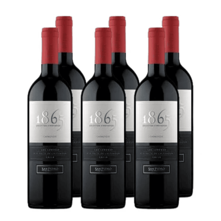 x6 Vino 1865 Selected Vineyards Carmenere 750cc 1