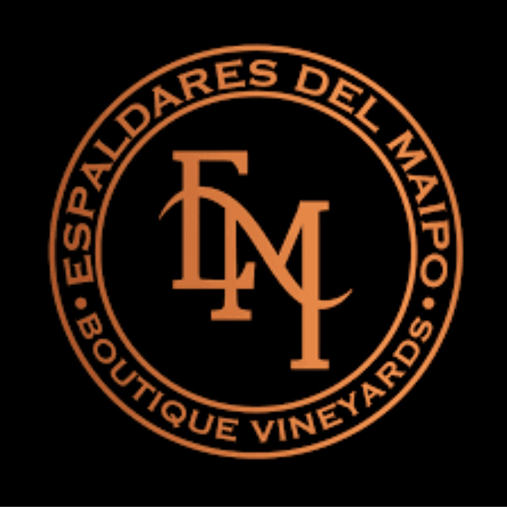 Vino late Harvest Cabernet Sauvignon 405 ml 2