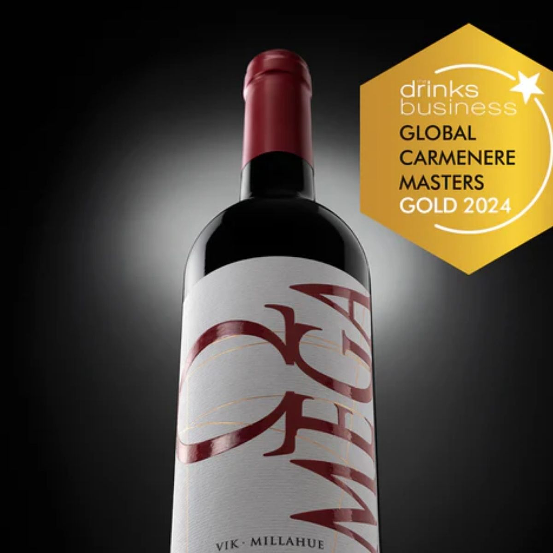 Vino Omega 2023 - Carmenere 750 ml 2