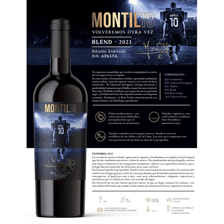 Vino Apalta Walter Montillo 2023 2