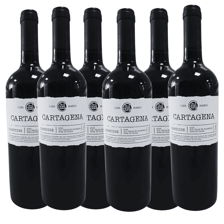 6x Vinos Casa Marin Cartagena Carmenere 750 cc 1