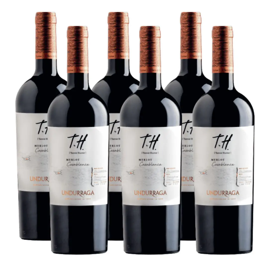 6x Undurraga TH Casablanca Merlot 1
