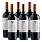 6x Undurraga TH Casablanca Merlot - Miniatura 1