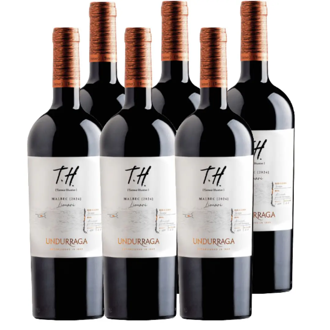 6x Vinos Undurraga TH Limarí Malbec 1