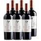 6x Vinos Undurraga TH Limarí Malbec - Miniatura 1