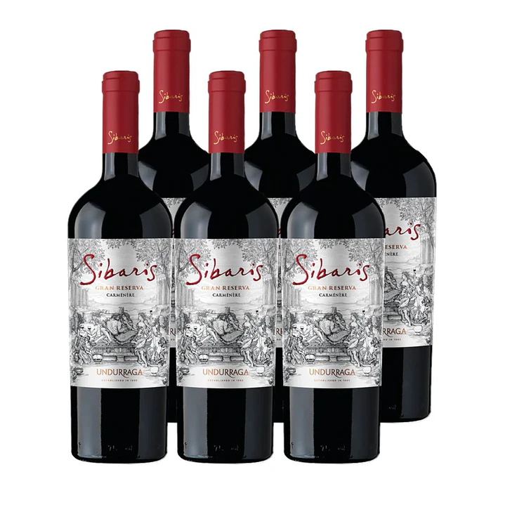 6x Vino Sibaris Gran Reserva Carmenere 750cc 1