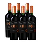 6x Casa Silva Edicion Especial Carmenere - Miniatura 1