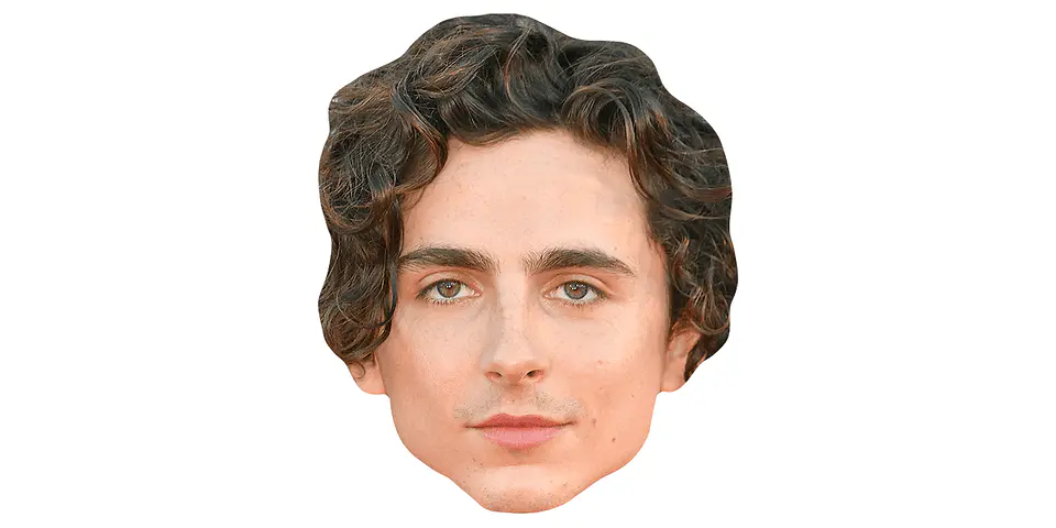 Timothée Chalamet 1