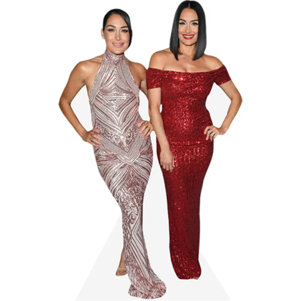 Brie Bella And Nikki Bella 1