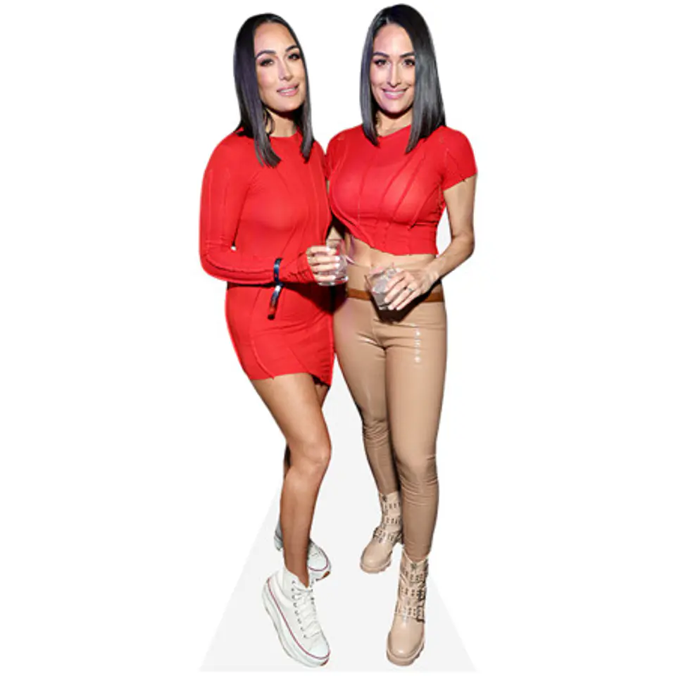 Brie Bella And Nikki Bella 1