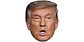 Donald Trump - Miniatura 1