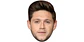 Niall Horan - Miniatura 1