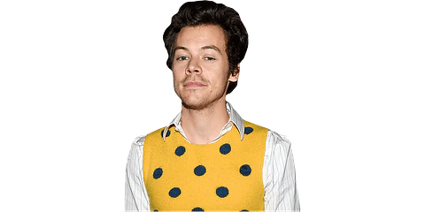 Harry Styles