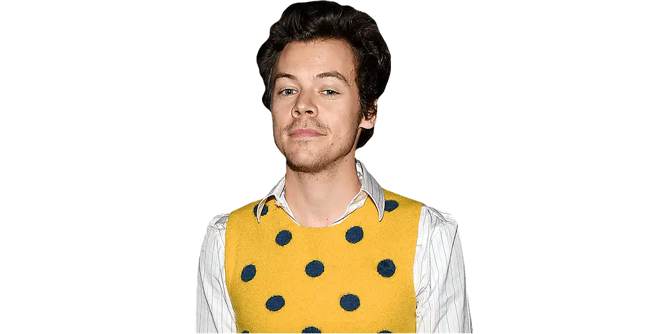 Harry Styles 1