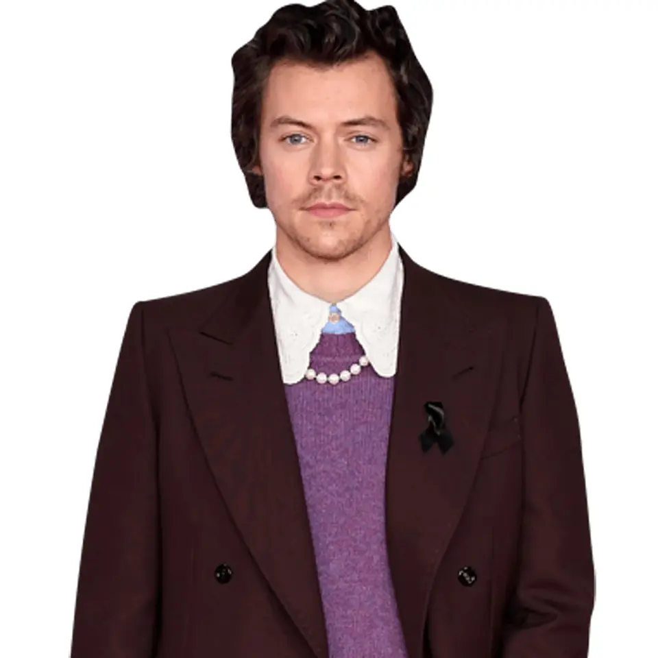 Harry Styles 1