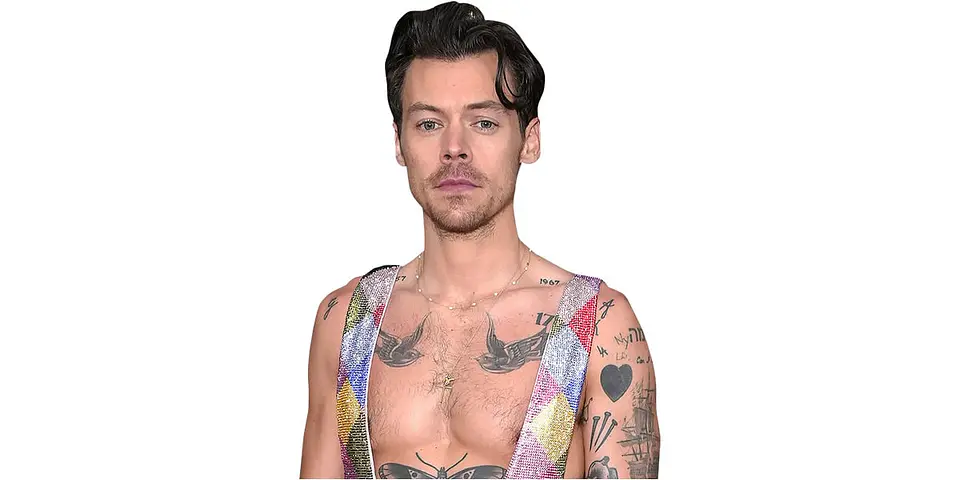 Harry Styles 1