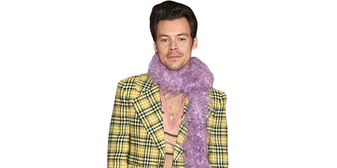 Harry Styles