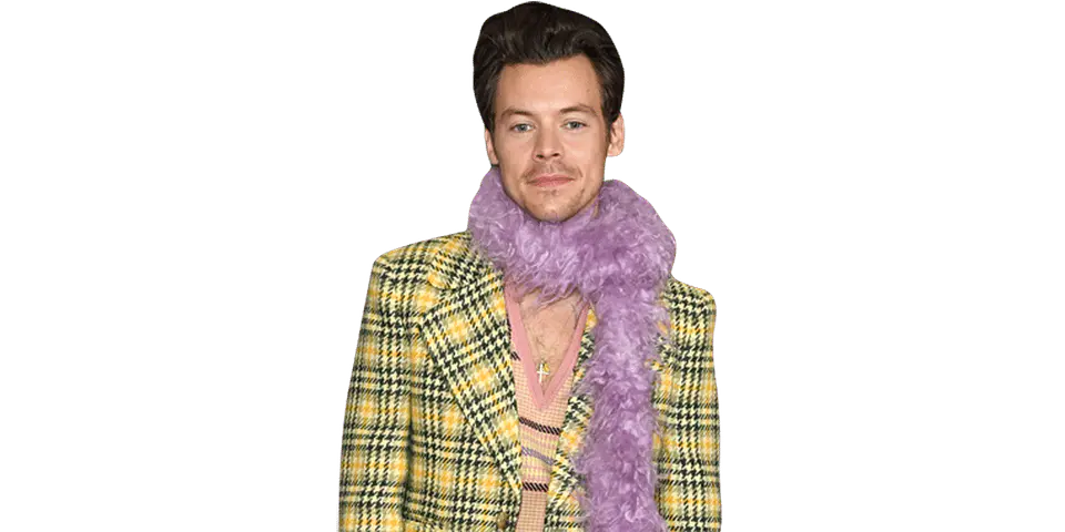 Harry Styles 1