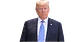 Donald Trump - Miniatura 1