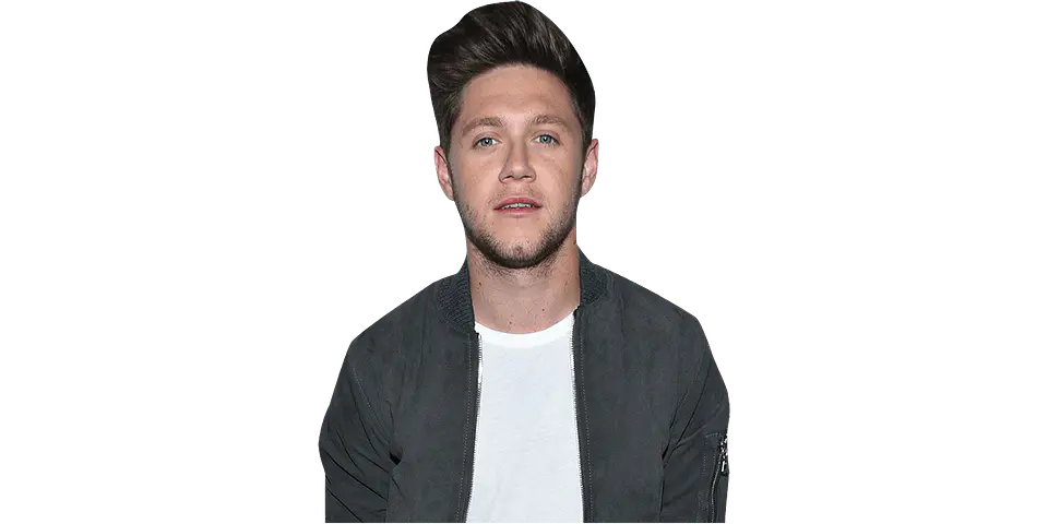 Niall Horan 1