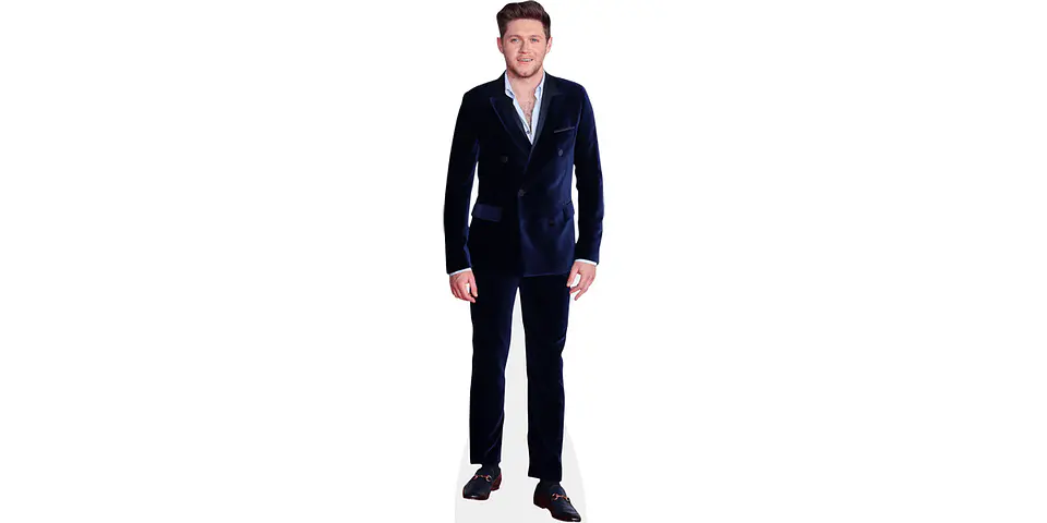 Niall Horan 1