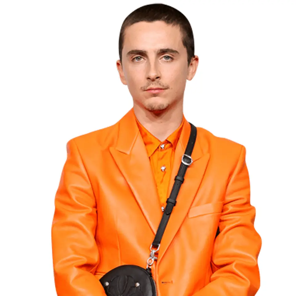Timothée Chalamet 1