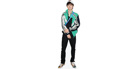 Timothée Chalamet