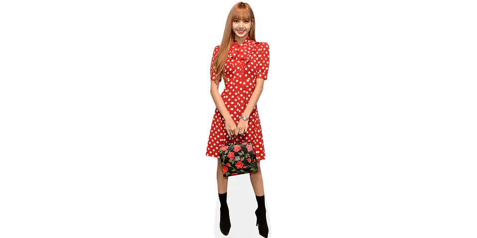 Lisa 1