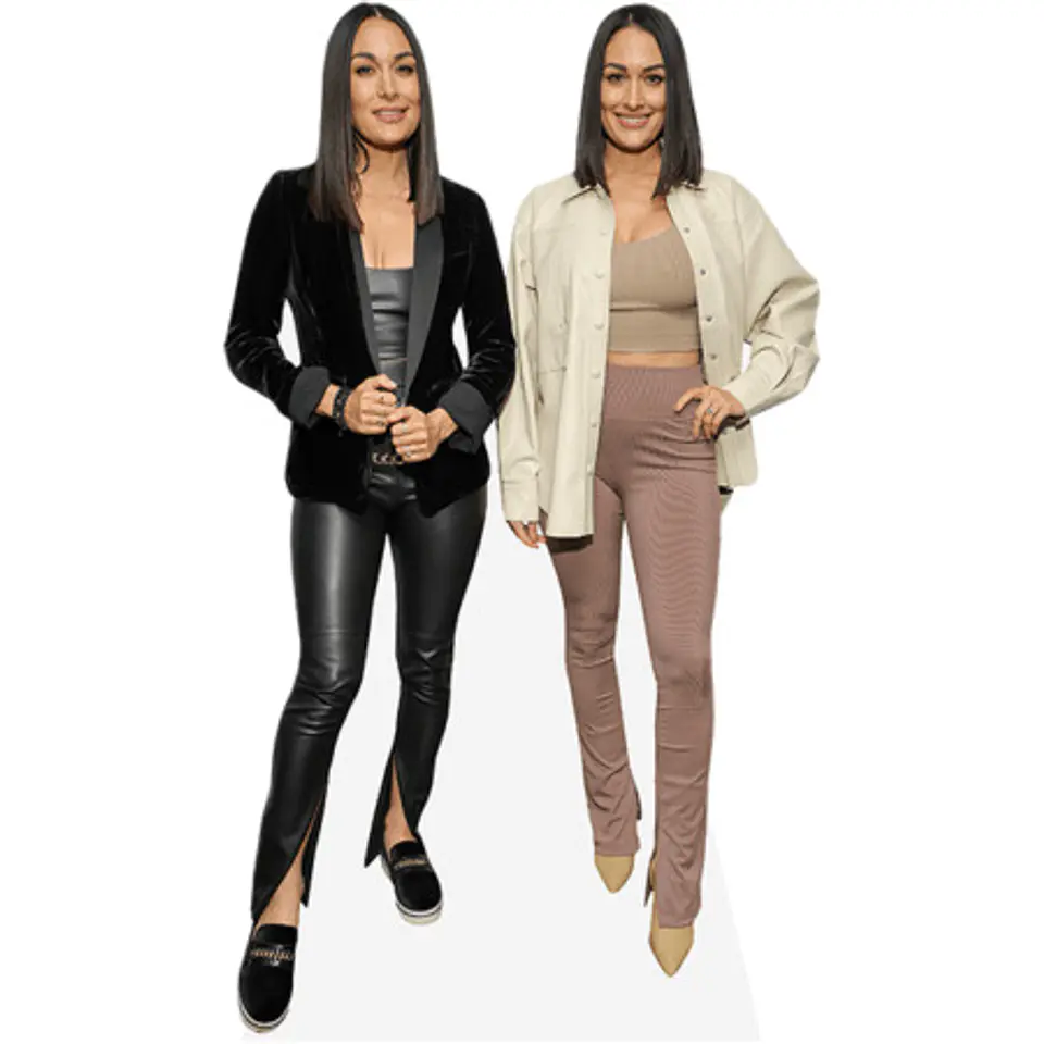 Brie Bella And Nikki Bella 1