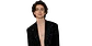Timothée Chalamet - Miniatura 1