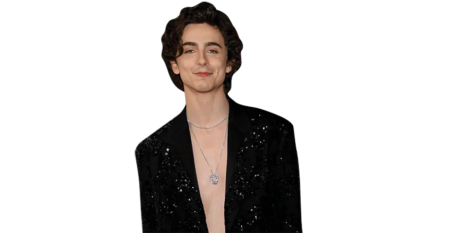 Timothée Chalamet 1